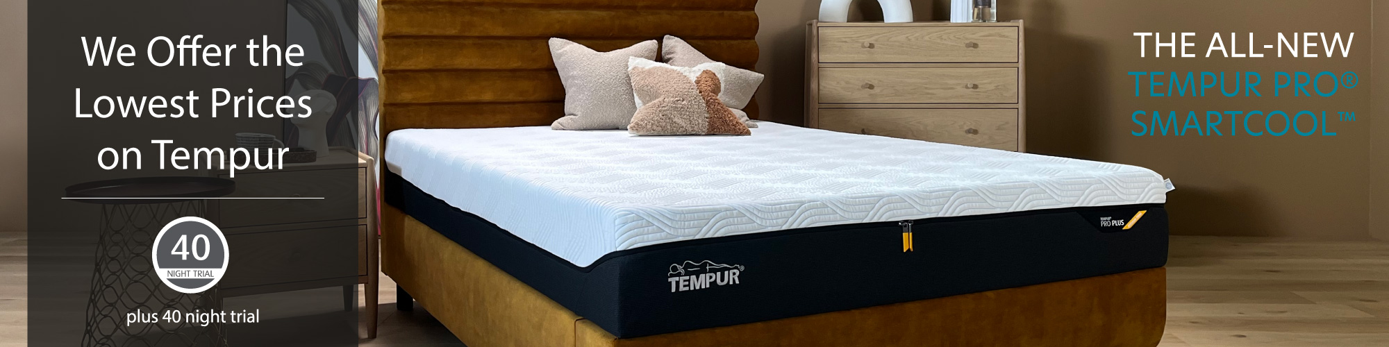 Tempur Banners 2025 Winter Sale Desktop